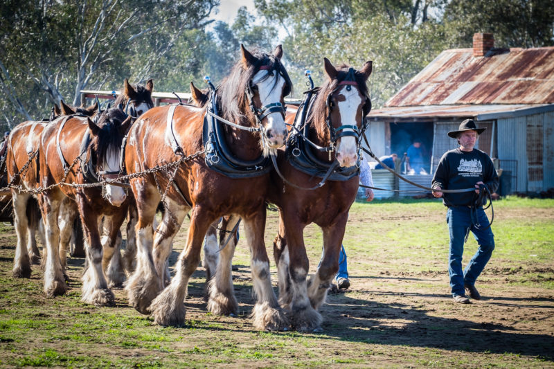 Echuca (2 of 10)