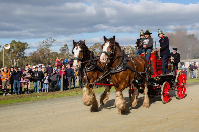 Echuca (9 of 10)