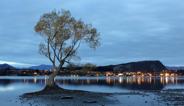 'Morning Lights' by Joy Vinnicombe