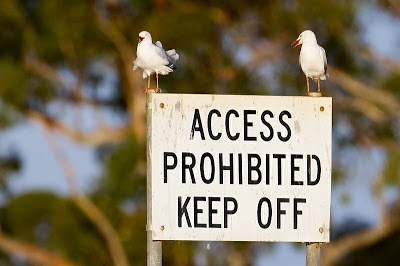 Can’t Read The Sign!
