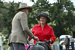 Heathcote Miniature Pony Competition