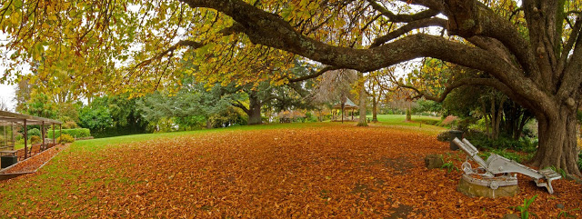 Dalesford Botanical Garden