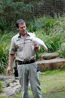 Healesville Sanctuary on a Wet Day