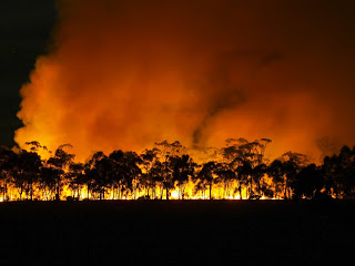 Controlled Burn Eaglehawk !!!