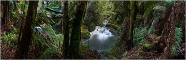 'Simmons Falls Otways' by Norm Stimson