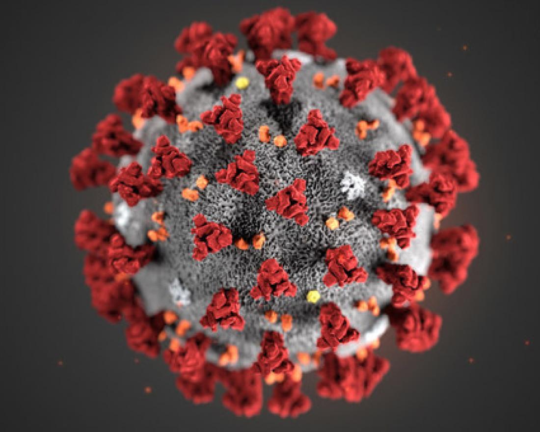 Challenge – Life in Coronavirus Lockdown