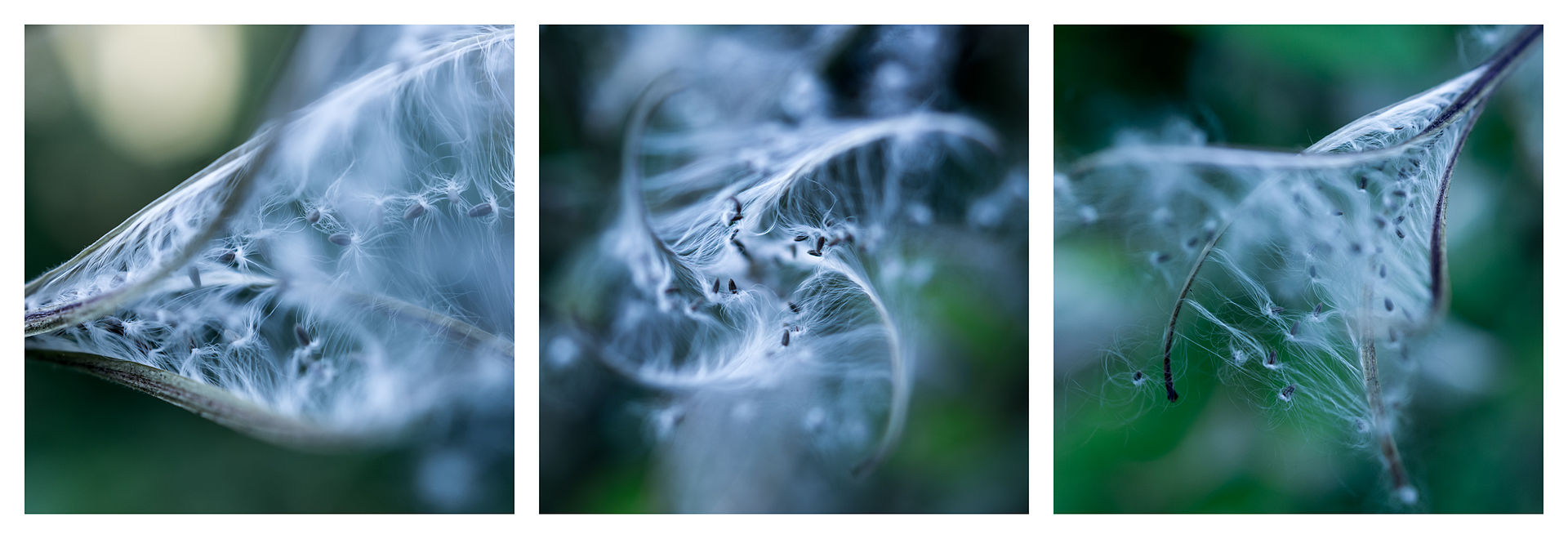 Challenge – Triptych