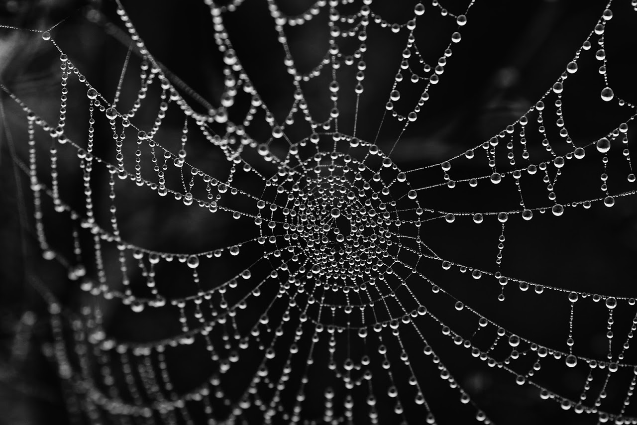 Challenge – Leading Lines