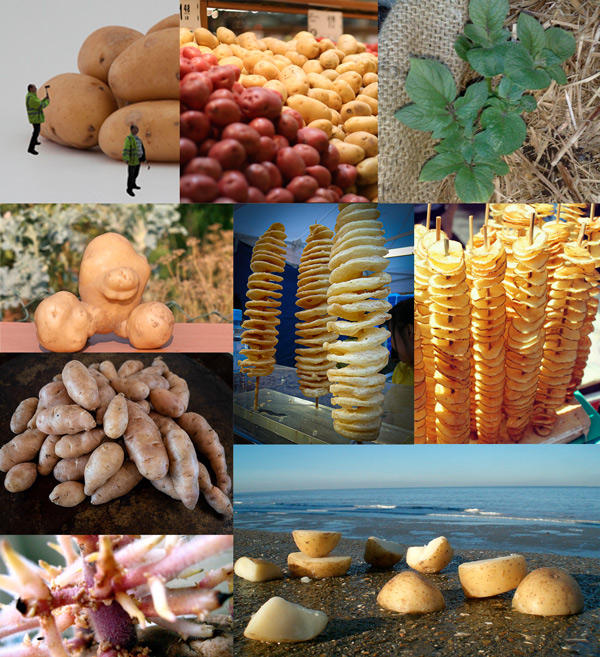 Challenge – Potato/es