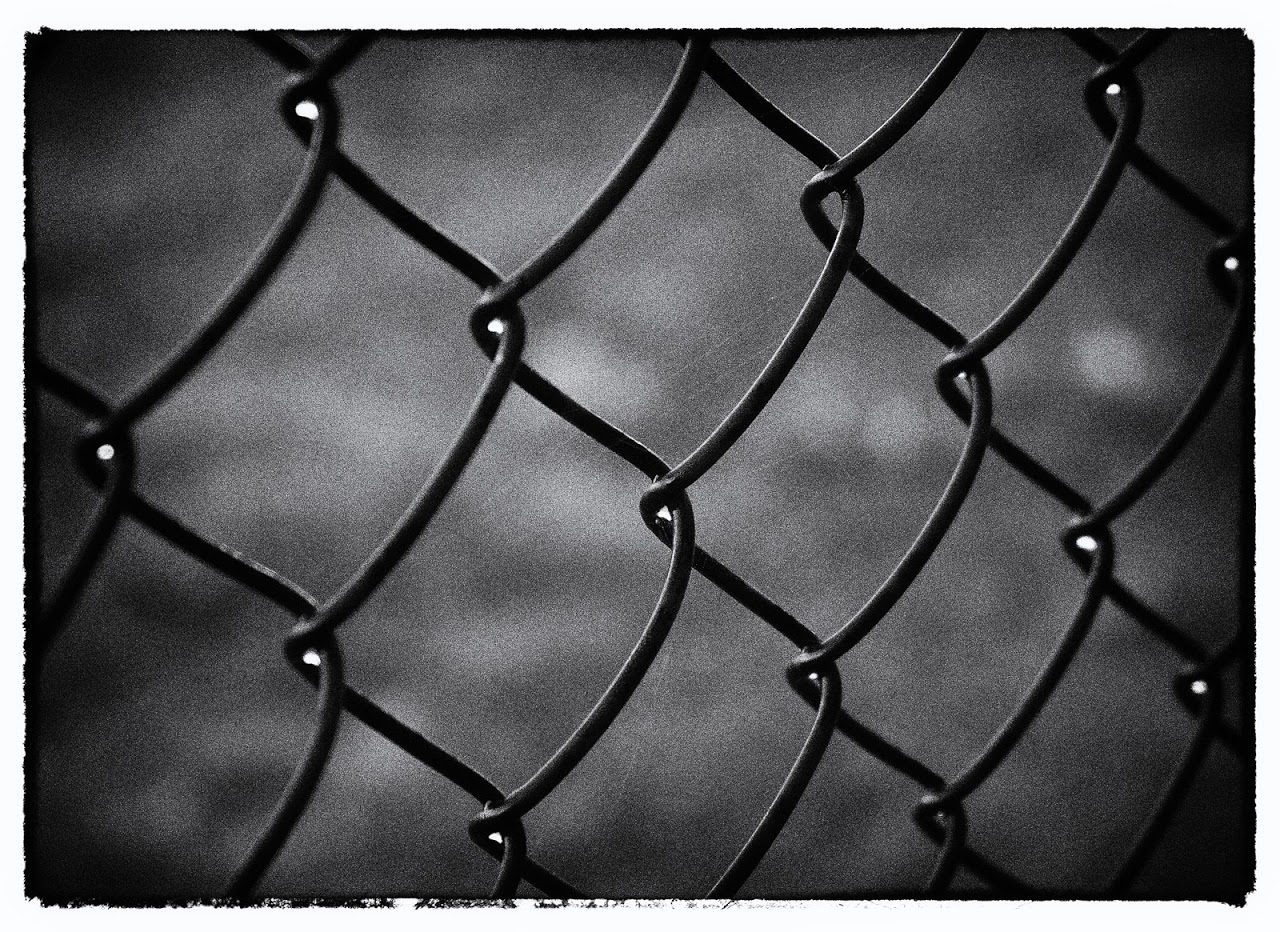 Challenge – Fences