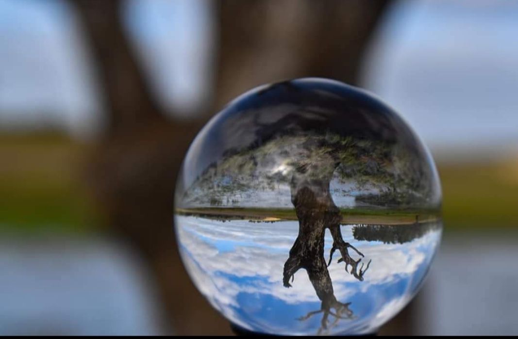 Challenge – Shallow Depth of Field