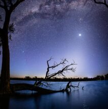 ‘Canopy Of Stars’ by Brian Hinneberg – 1st Digital Set Subject
