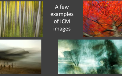Intentional Camera Movement (ICM)